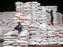 Stok Beras Tertinggi dalam 57 Tahun, Pemerintah Optimistis Capai Swasembada Pangan 2025