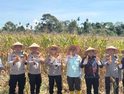 Kapolres OKU Selatan, AKBP M. Khalid Zulkarnaen, S.I.K., M.H. Pimpin Panen Raya Jagung Serentak Kuartal II di Bengkayang, Kalimantan Barat