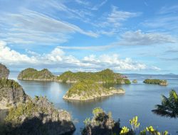 Pemerintah Dorong Pengelolaan Tambang Ramah Lingkungan di Wilayah Raja Ampat