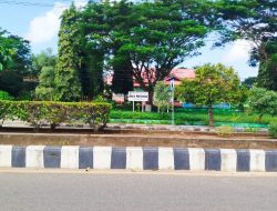 Penegak Hukum Bertindak!!  Distributor Herbisida Diduga Mencari Keuntungan Diatas Penderita Petani & Penyuluh Pertanian Di Kabupaten Kepulauan Tanimbar