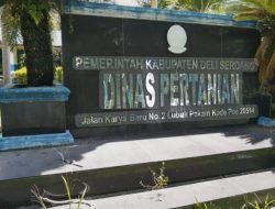 PLT Kabid Sarana dan Prasarana Deli Serdang Diduga Langgar Aturan,  Tunjuk Koordinator Penyuluh Tak Kompeten