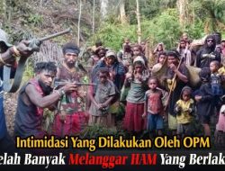 OPM Langgar HAM, Masyarakat Jadi Korban Kekerasan dan Intimidasi