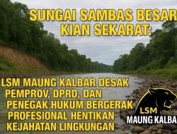 Sungai Sambas Besar Kian Sekarat: LSM MAUNG Kalbar Desak Pemprov, DPRD, dan Penegak Hukum Bergerak Profesional Hentikan Kejahatan Lingkungan