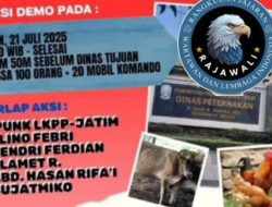 RAJAWALI Akan Demo Lagi Karena Mega Skandal HIbah Ternak Dugaan Korupsi Sistematis