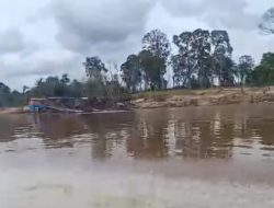 LSM MAUNG Minta Aktivitas Tambang Emas Ilegal di Desa Semerangkai Dihentikan