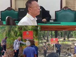 Vonis 10 Tahun dan UP Rp797 Miliar, Akuang Diduga Masih Kuasai Sawit di Hutan Negara