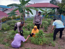 Polsek Bulang Manfaatkan Lahan Tidur untuk Ketahanan Pangan di Tengah Masyarakat