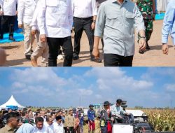 Kepala Staf Kepresidenan Dampingi Wapres Gibran Tinjau Panen Raya Jagung dan Kunjungi Pesantren di Banyuasin