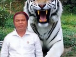Sekretaris DPD LSM MAUNG NTB: Pernyataan Mahfud MD Validasi Tuntutan, Presiden Harus Bertindak Tegas Demi Keadilan!