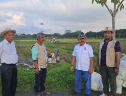 Tani Merdeka Deli Serdang Sulap Lahan Tidur Jadi Sentra Pangan Produktif