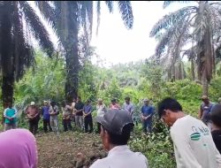 Jejak Sejarah Ulu Sontang: Makam Leluhur sepanjang +-4 m,Sutan Sinomba di Pasaman Barat