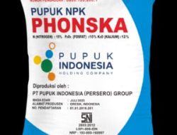 Dugaan Penjualan Pupuk Subsidi di Citorek Melebihi HET, Sejumlah Aktivis Desak Pemkab Lebak Bertindak