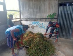 Babinsa Serda Kono Beri Pelatihan Pembuatan Pupuk bokashi Bagi PKK Desa Umaklaran