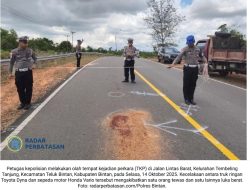 Kecelakaan di Jalan Lintas Barat Bintan, Satu Pengendara Motor Tewas Usai Tabrakan dengan Truk