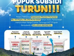 Pemerintah Turunkan Harga Eceran Tertinggi Pupuk Bersubsidi hingga 20% Mulai 22 Oktober 2025