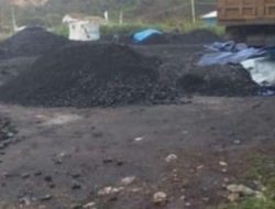 Tambang Batu Bara Ilegal Rusak Kawasan Hutan Perhutani Cihara, Diduga Ada Oknum Tutup Mata
