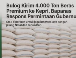 Jelang Nataru, Bapanas Kerahkan 4.000 Ton Beras Premium untuk Perkuat Stok di Kepulauan Riau