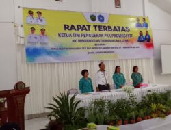 Ketua TP PKK NTT Puji Inovasi Penataan Ruang Raker PKK Malaka dengan Tabula Pot