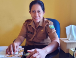 Akhir 2025, Dinas Peternakan Malaka Gencarkan Vaksin SE dan HOG Kolera di 12 Kecamatan