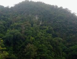 Kasus Hutan Lindung: Jaksa Bintan yang Mendadak Jadi “Pakar Perkayuan” Diperiksa Kejati Kepri