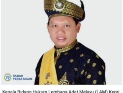 Sindiran Anggota DPR-RI Soal Donasi Rp10 Miliar Bikin Tokoh LAM Kepri Gerah: Ini Merusak Nama Baik Melayu