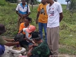 Desa Lakekun Barat Gelar Ritual Hatene Rai Sebelum Pembangunan Gedung Kopdes Merah Putih