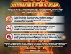 Awas! Bakar Lahan di Tanjungpinang Bisa Masuk Bui 15 Tahun dan Denda Rp15 Miliar