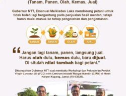 Gubernur NTT Dorong Hilirisasi Produk Lokal Lewat Strategi “TAPA OKE JU”