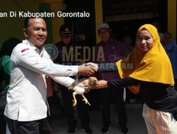Sinergi Pemerintah dan Masyarakat: Bantuan Ternak untuk Perbaikan Gizi di Desa Hayahaya