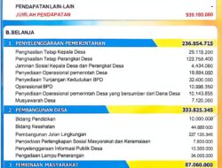 BLT Menyusut, Anggaran Lampu Jalan Terus Membesar, Prioritas APBDes Hutabangun Jae Dipertanyakan Warga