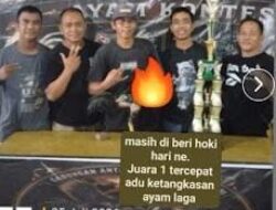 Tameng Latihan Hancur oleh Bukti Kejuaraan: Ironi Penegakan Hukum Judi Sabung Ayam di Medan Johor