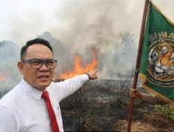 Maung Pusat Sorot Perpanjangan Siaga Darurat Asap & Lonjakan Hotspot Kalbar