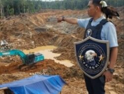 DPW Rajawali Kalbar Sorot Aktivitas PETI Di Sanggau: Tiga Alat Berat Beroperasi, Siapa Di Baliknya?