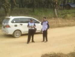 Ketua LCKI Jambi Mappangara HK Turun Langsung Investigasi Dugaan Panen Sawit Tanpa Hak di Unit 21 Bahar