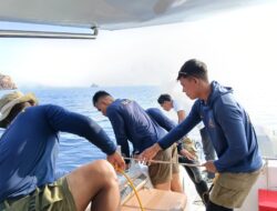 Hari Keempat Pencarian KM Feronia, SAR Temukan Jaket Pelampung, Veronica Masih Hilang