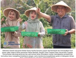 Perkuat Ketahanan Pangan, Pemkab Bintan Genjot Pertanian Lokal